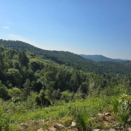 Mas Cevennes